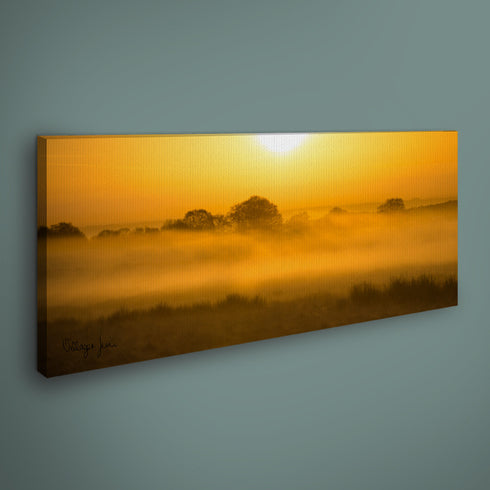 PANORAMIC - GOLDEN MIST - 1.2m x 50cm